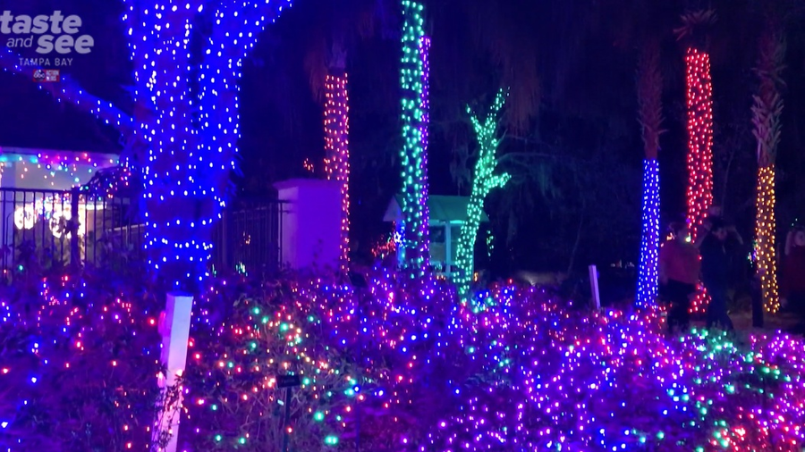 PHOTOS Christmas lights at the Florida Botanical Gardens in Largo